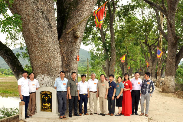 Thêm[-]23[-]cây[-]cổ[-]thụ[-]của[-]tỉnh[-]Thanh[-]Hoá[-]được[-]gắn[-]bia[-]Cây[-]Di[-]sản[-]Việt[-]Nam